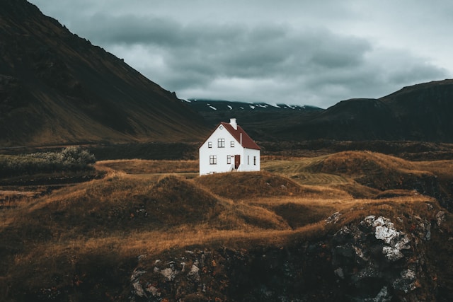 Creating a Toxin-Free Home: